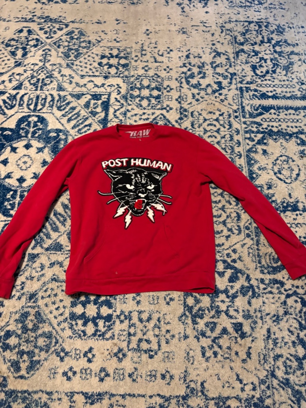 RAW Men’s Red Crewneck Sweater with 'Post Human' Graphic